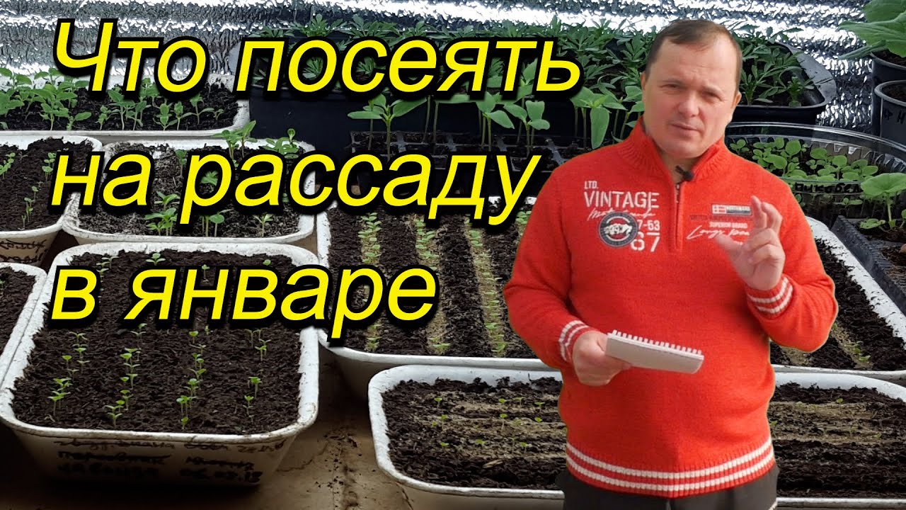 Нажмите, чтобы запустить видео