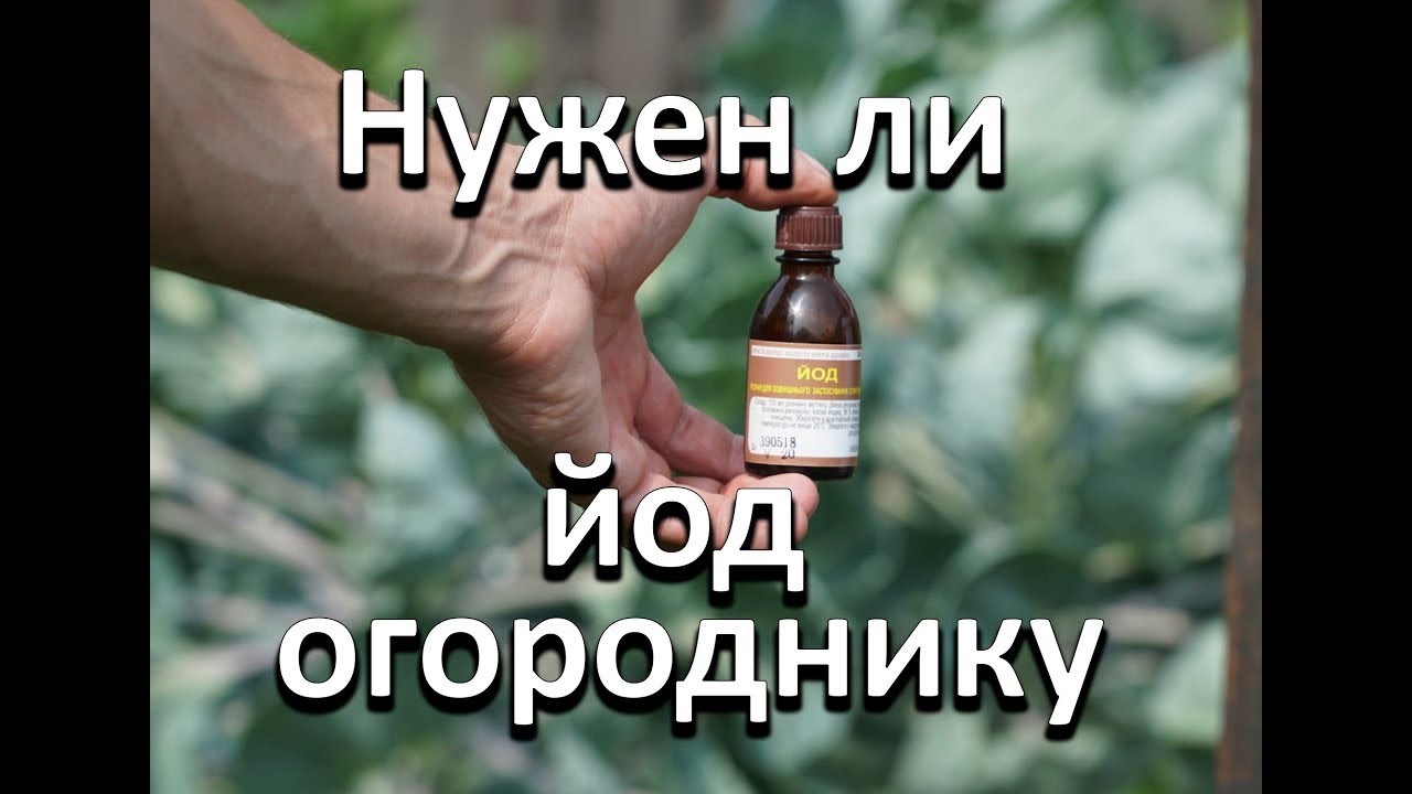 Нажмите, чтобы запустить видео