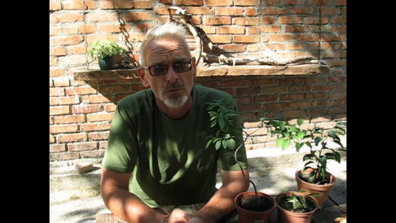 Нажмите, чтобы запустить видео