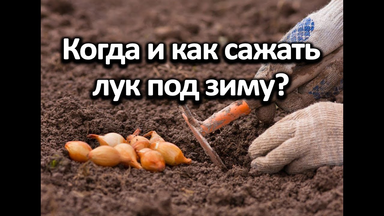 Нажмите, чтобы запустить видео