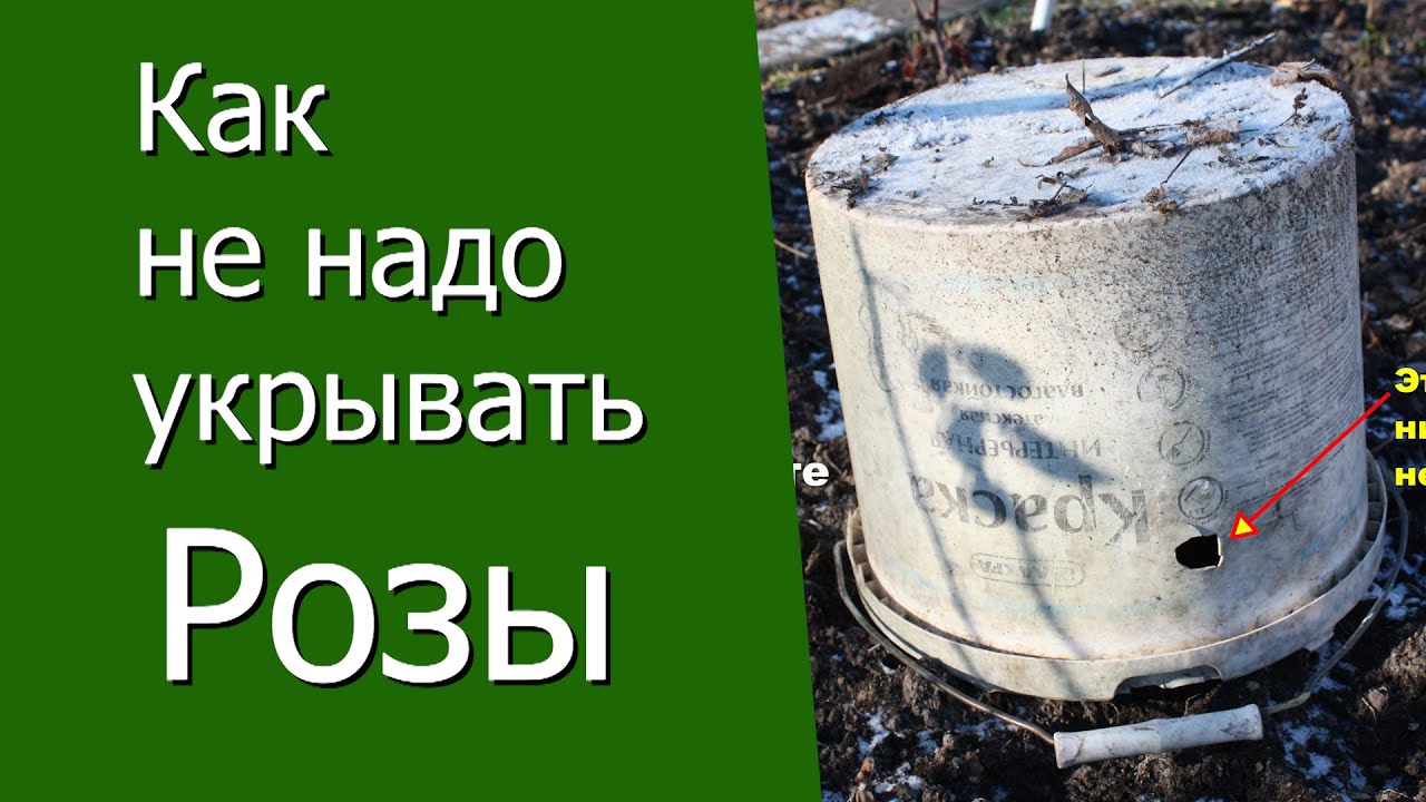 Нажмите, чтобы запустить видео