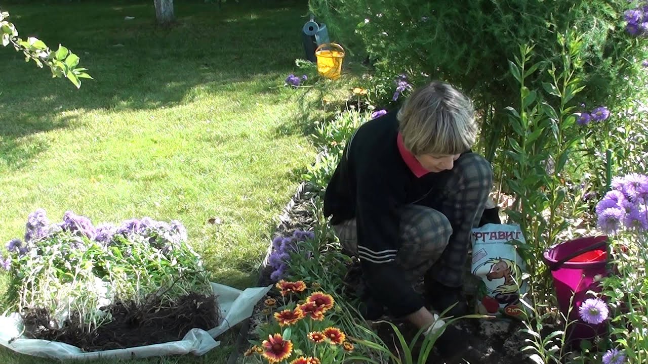 Нажмите, чтобы запустить видео