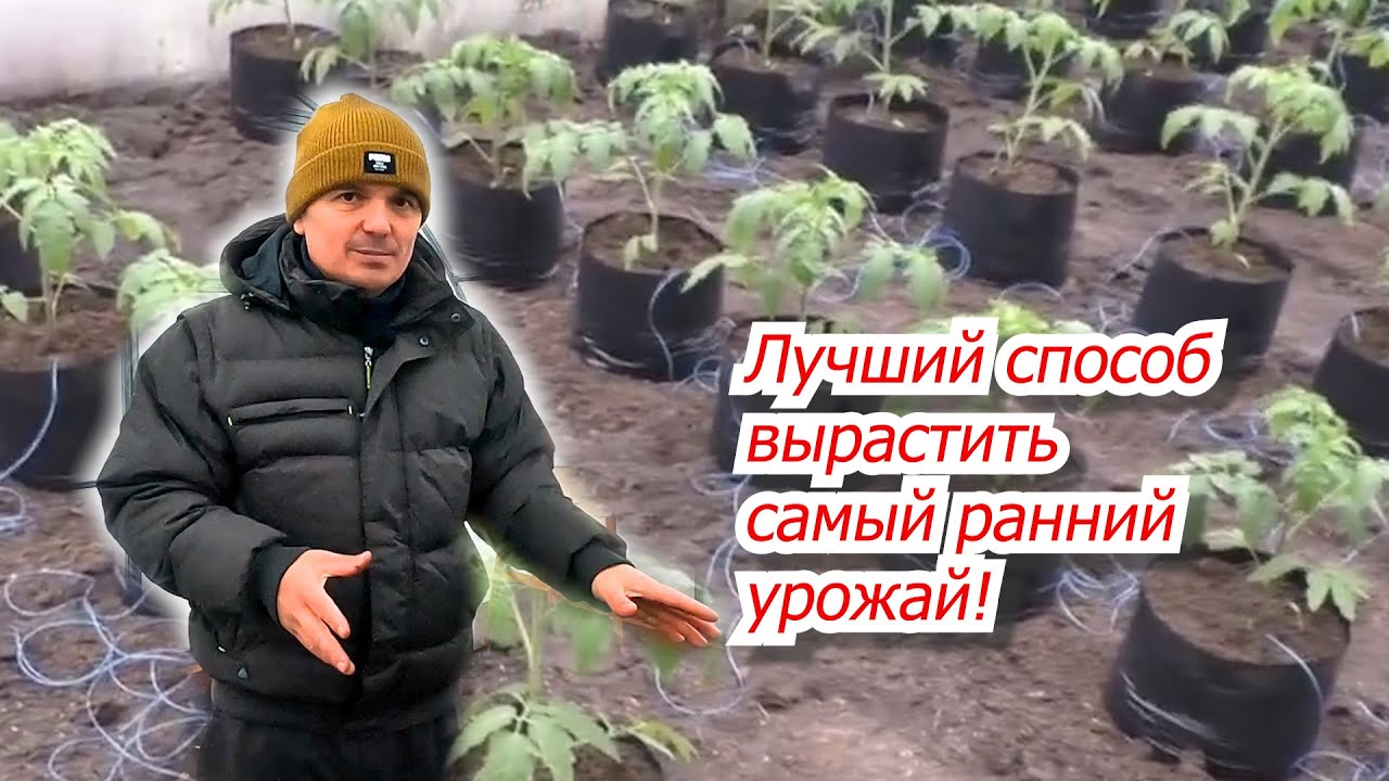 Нажмите, чтобы запустить видео
