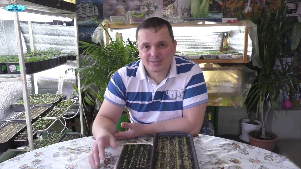 Нажмите, чтобы запустить видео