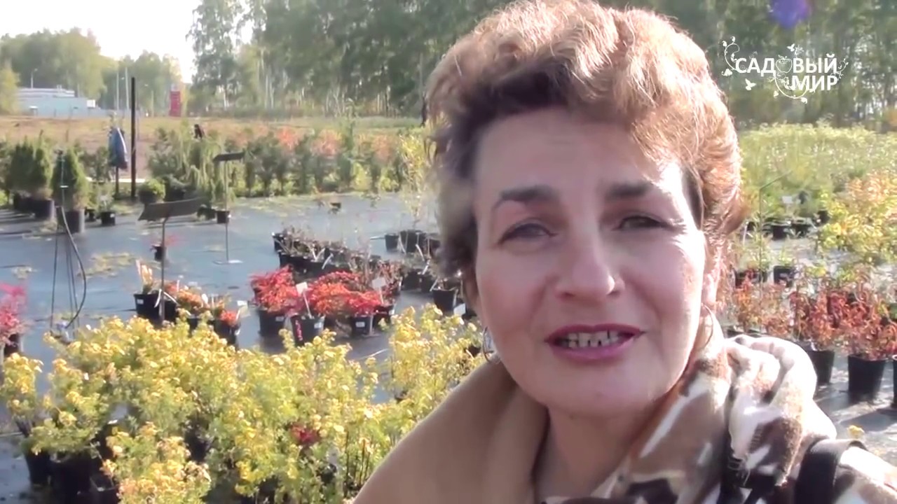 Нажмите, чтобы запустить видео