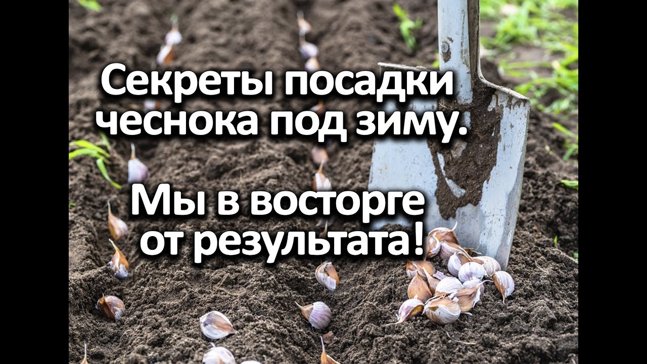 Нажмите, чтобы запустить видео