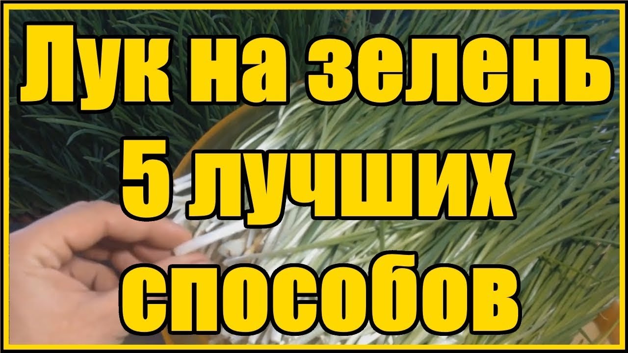Нажмите, чтобы запустить видео