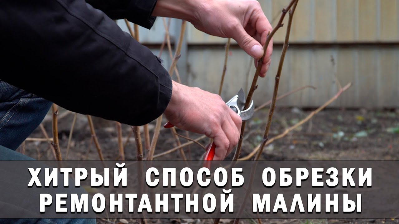 Нажмите, чтобы запустить видео