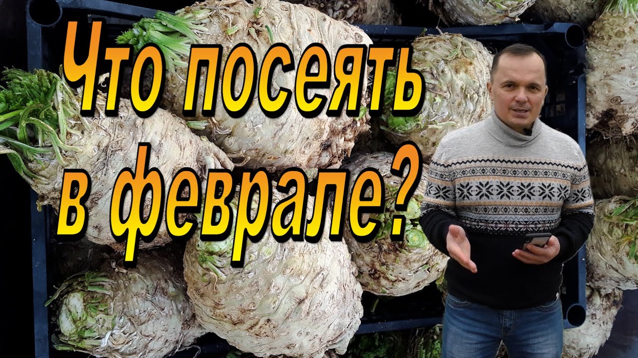 Нажмите, чтобы запустить видео