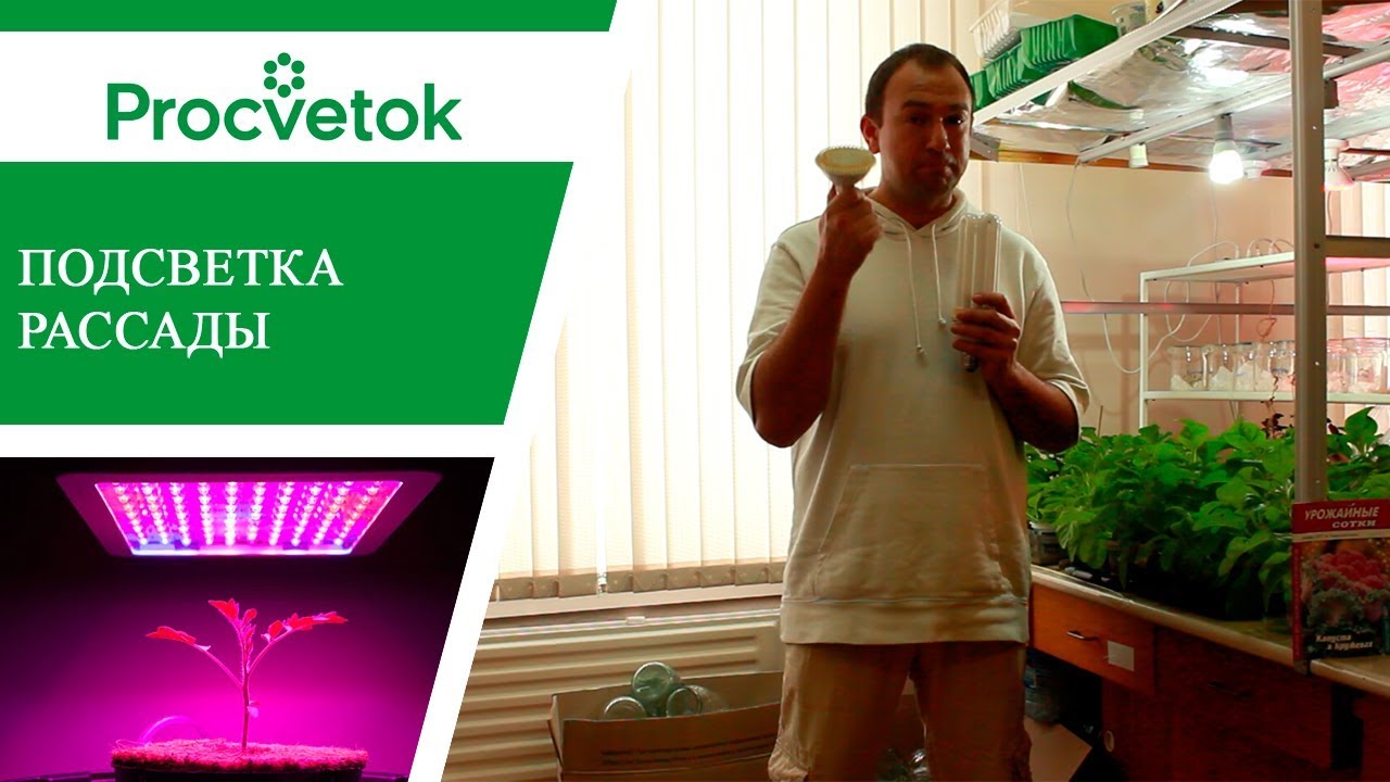 Нажмите, чтобы запустить видео