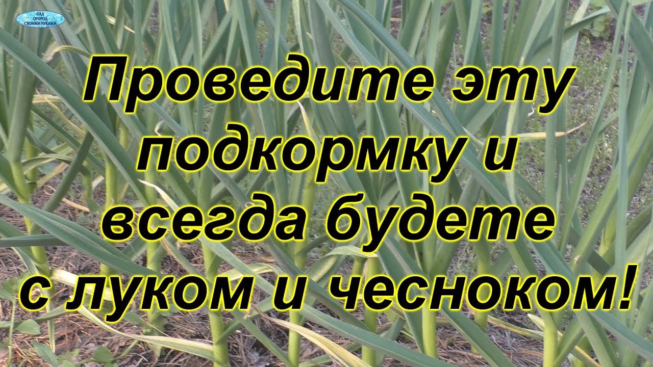 Нажмите, чтобы запустить видео