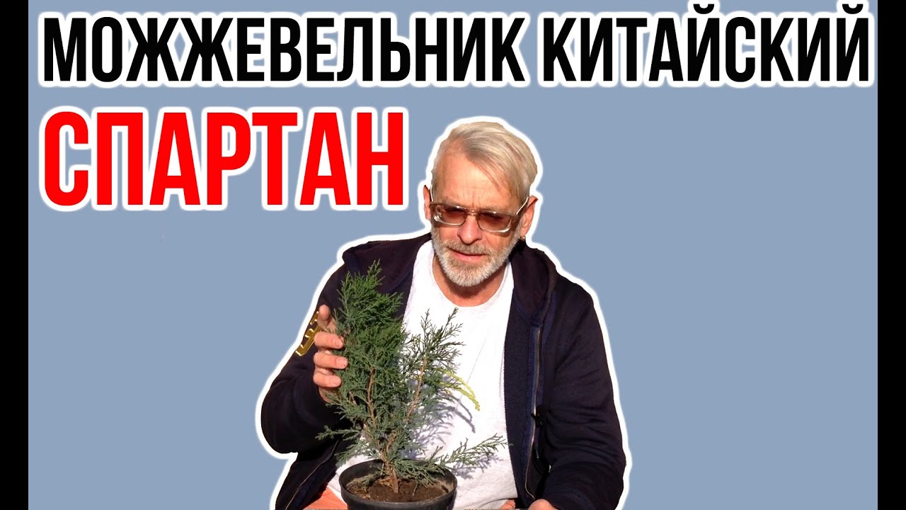 Нажмите, чтобы запустить видео