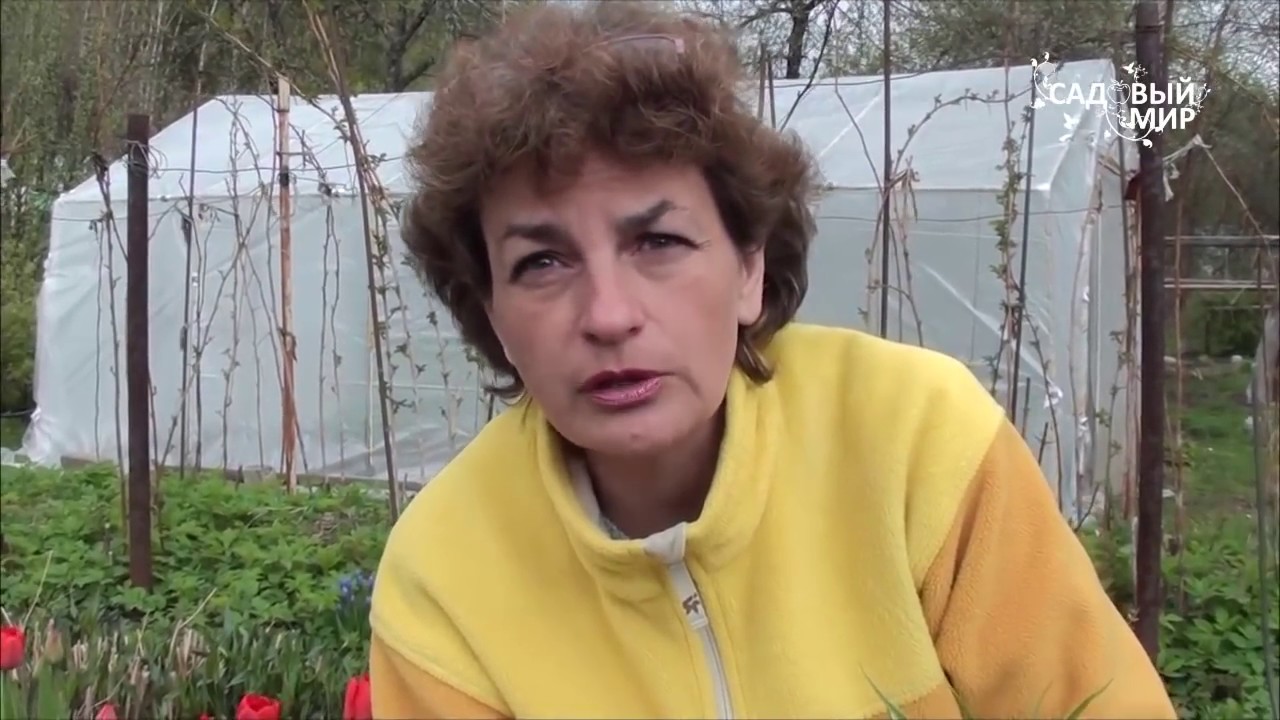 Нажмите, чтобы запустить видео