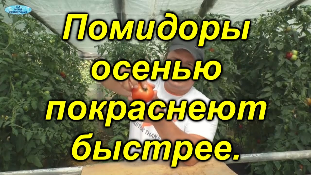 Нажмите, чтобы запустить видео