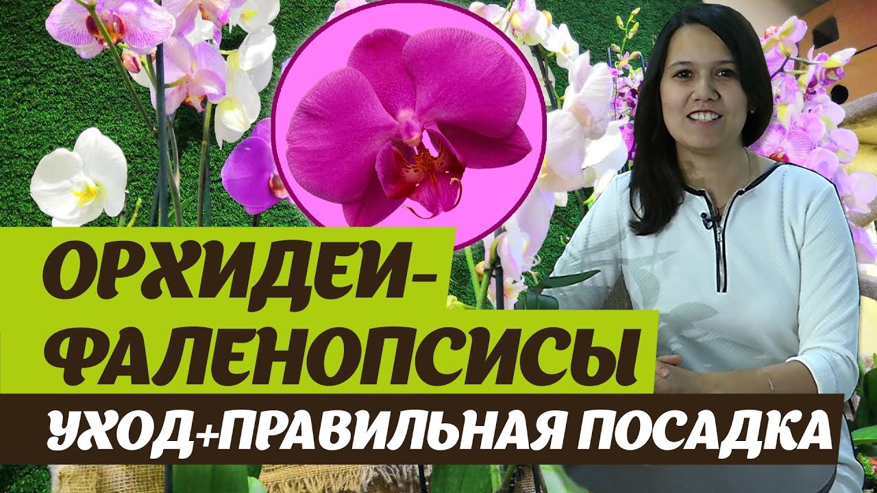 Нажмите, чтобы запустить видео