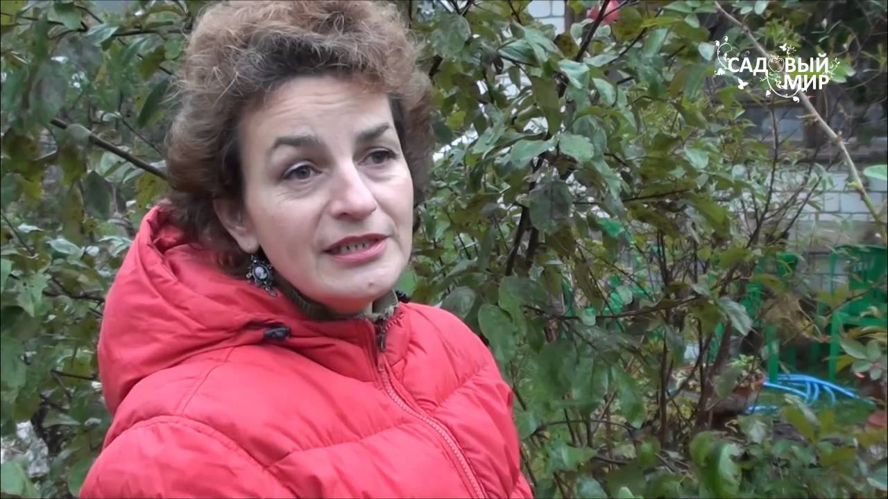 Нажмите, чтобы запустить видео