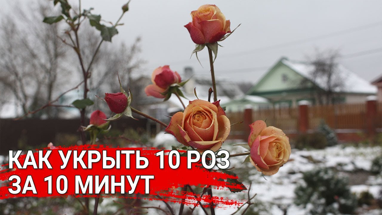 Нажмите, чтобы запустить видео
