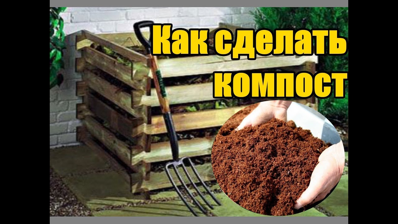 Нажмите, чтобы запустить видео
