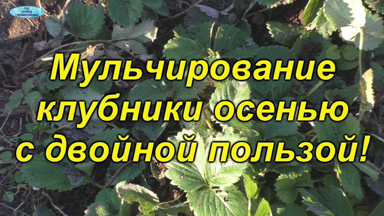 Нажмите, чтобы запустить видео