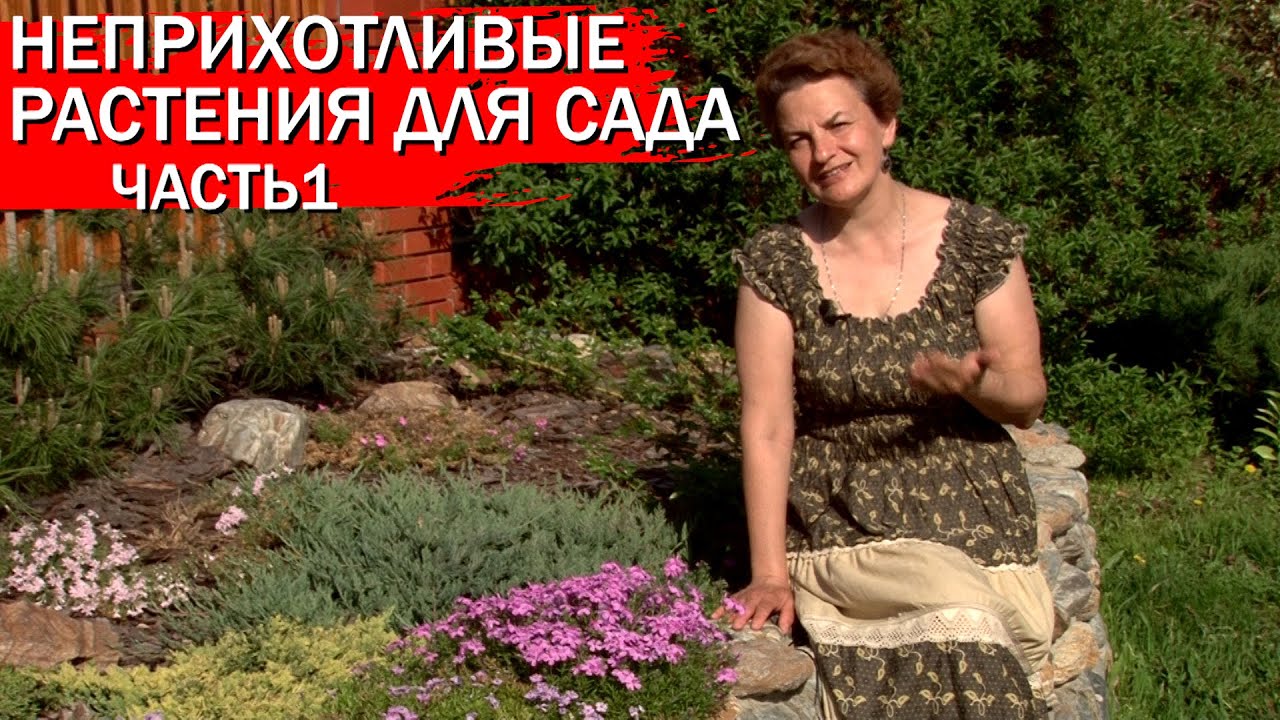 Нажмите, чтобы запустить видео