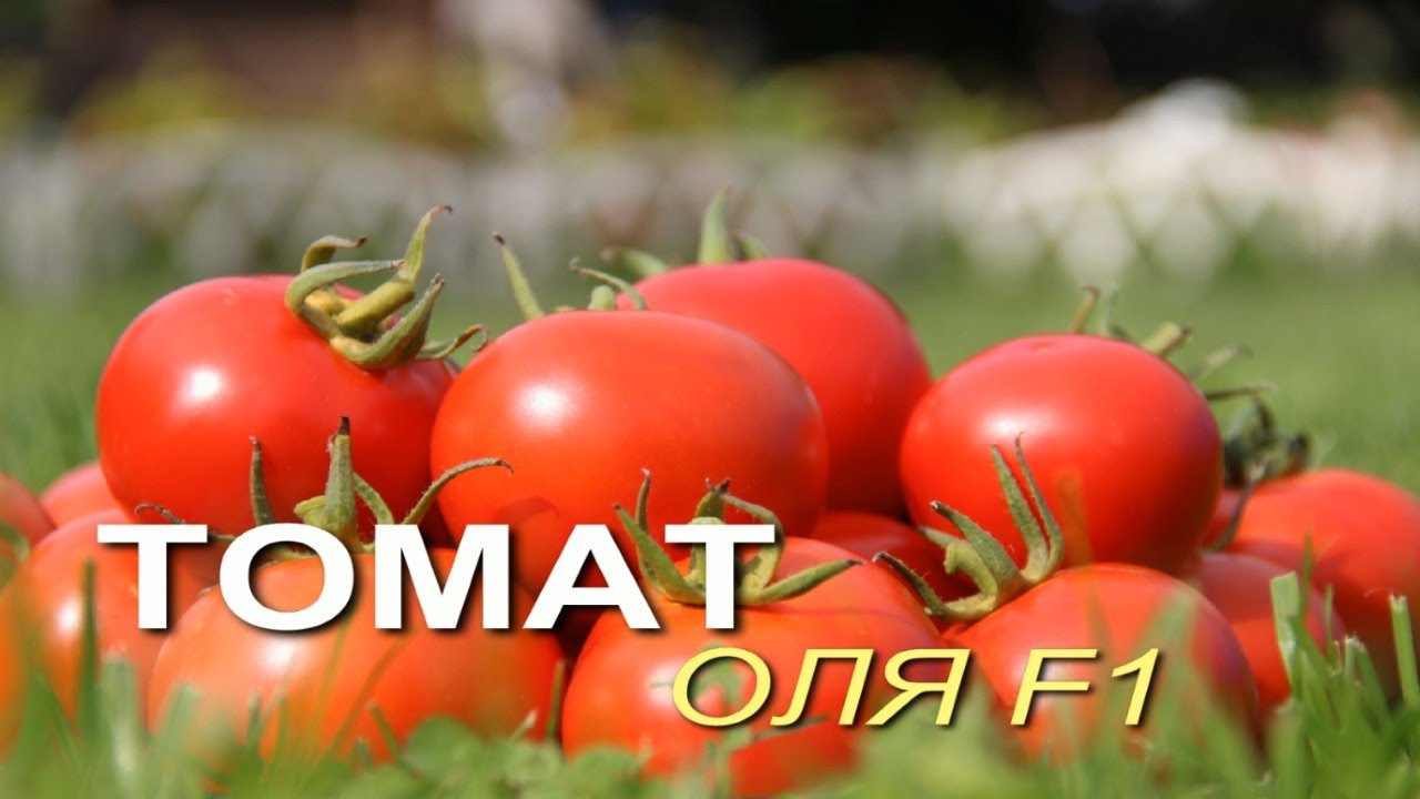 Нажмите, чтобы запустить видео