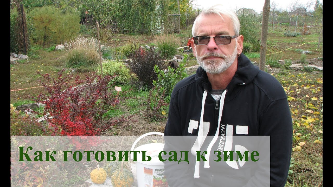 Нажмите, чтобы запустить видео