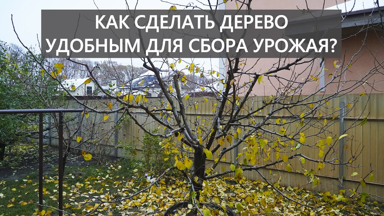 Нажмите, чтобы запустить видео