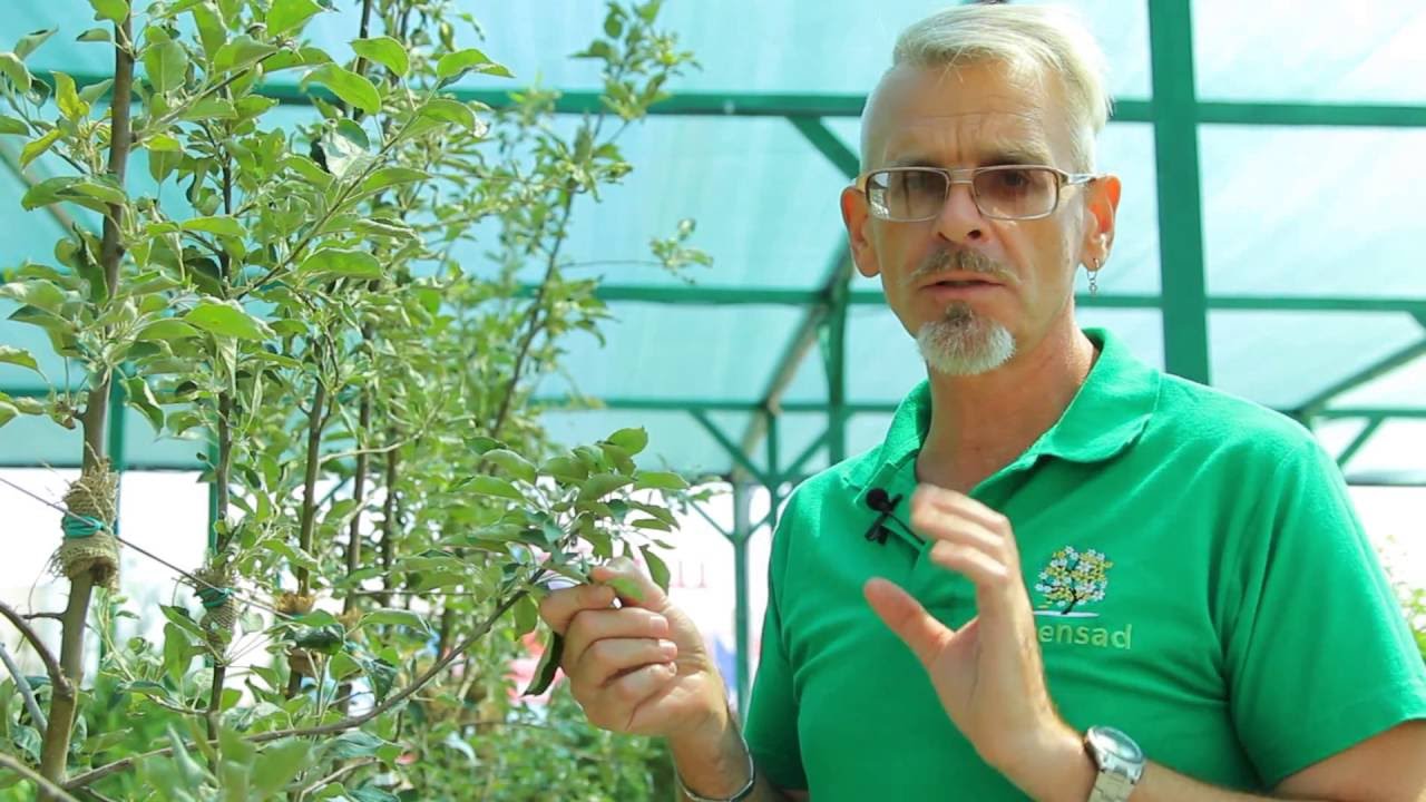 Нажмите, чтобы запустить видео