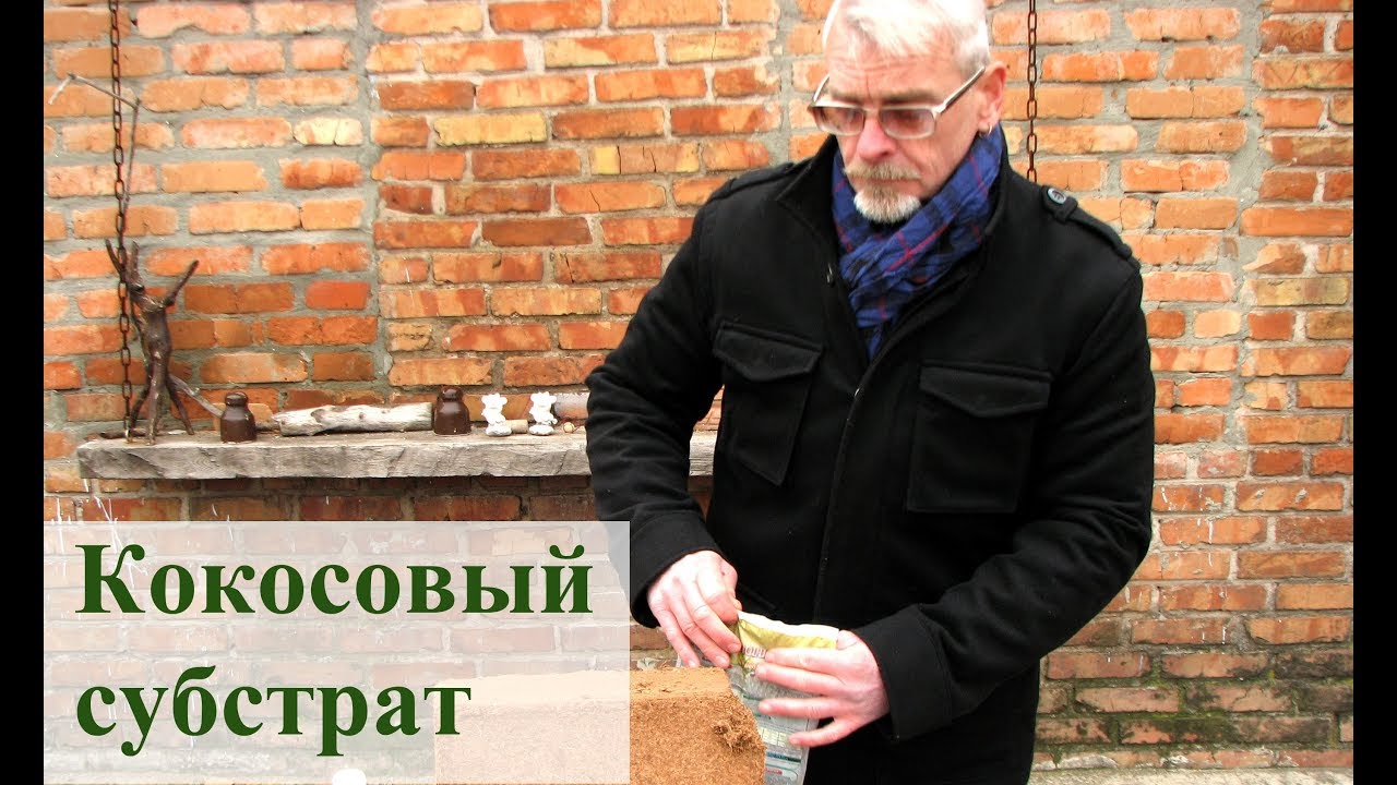 Нажмите, чтобы запустить видео