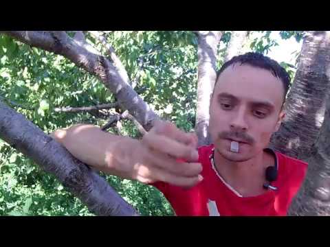 Нажмите, чтобы запустить видео
