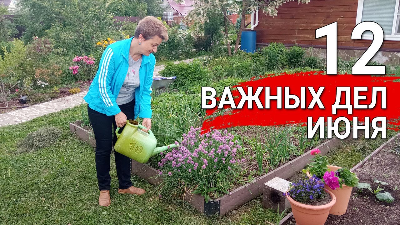 Нажмите, чтобы запустить видео