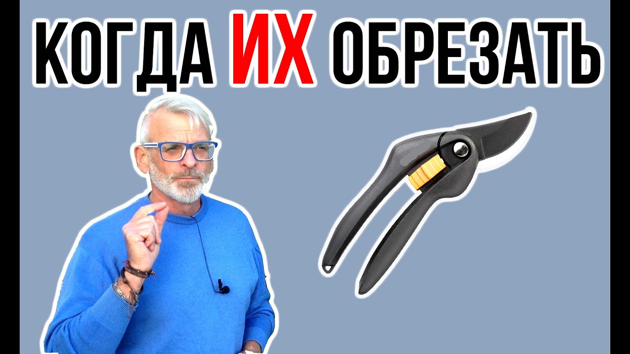 Нажмите, чтобы запустить видео