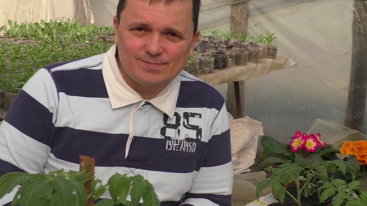 Нажмите, чтобы запустить видео