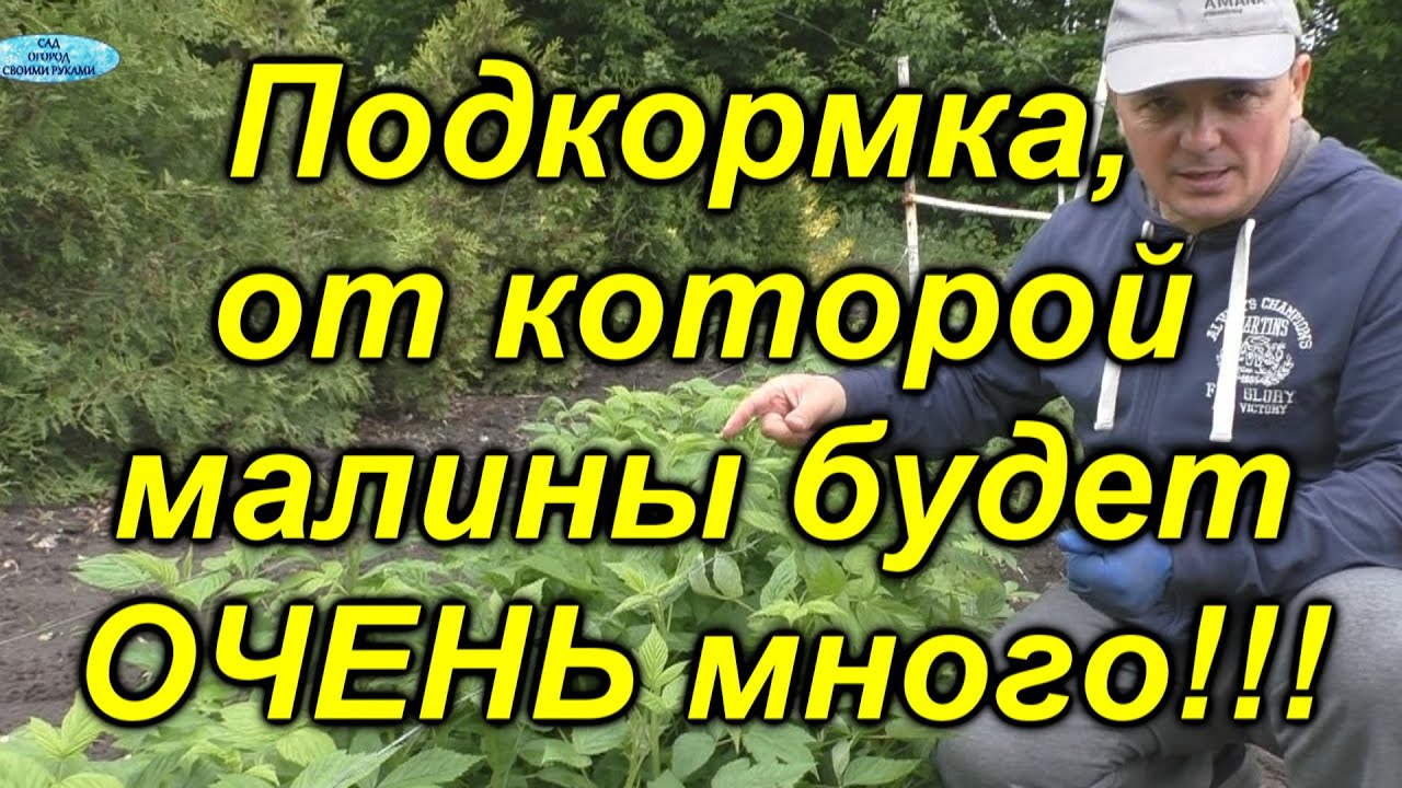 Нажмите, чтобы запустить видео