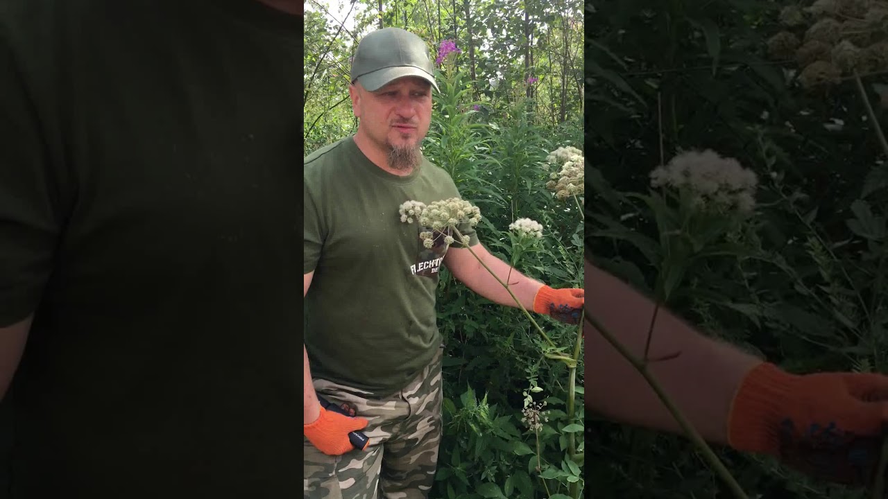 Нажмите, чтобы запустить видео