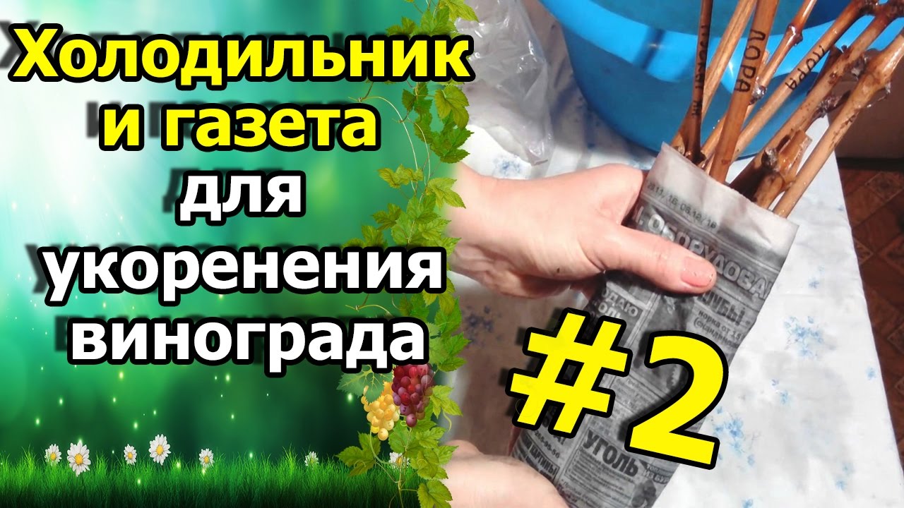 Нажмите, чтобы запустить видео