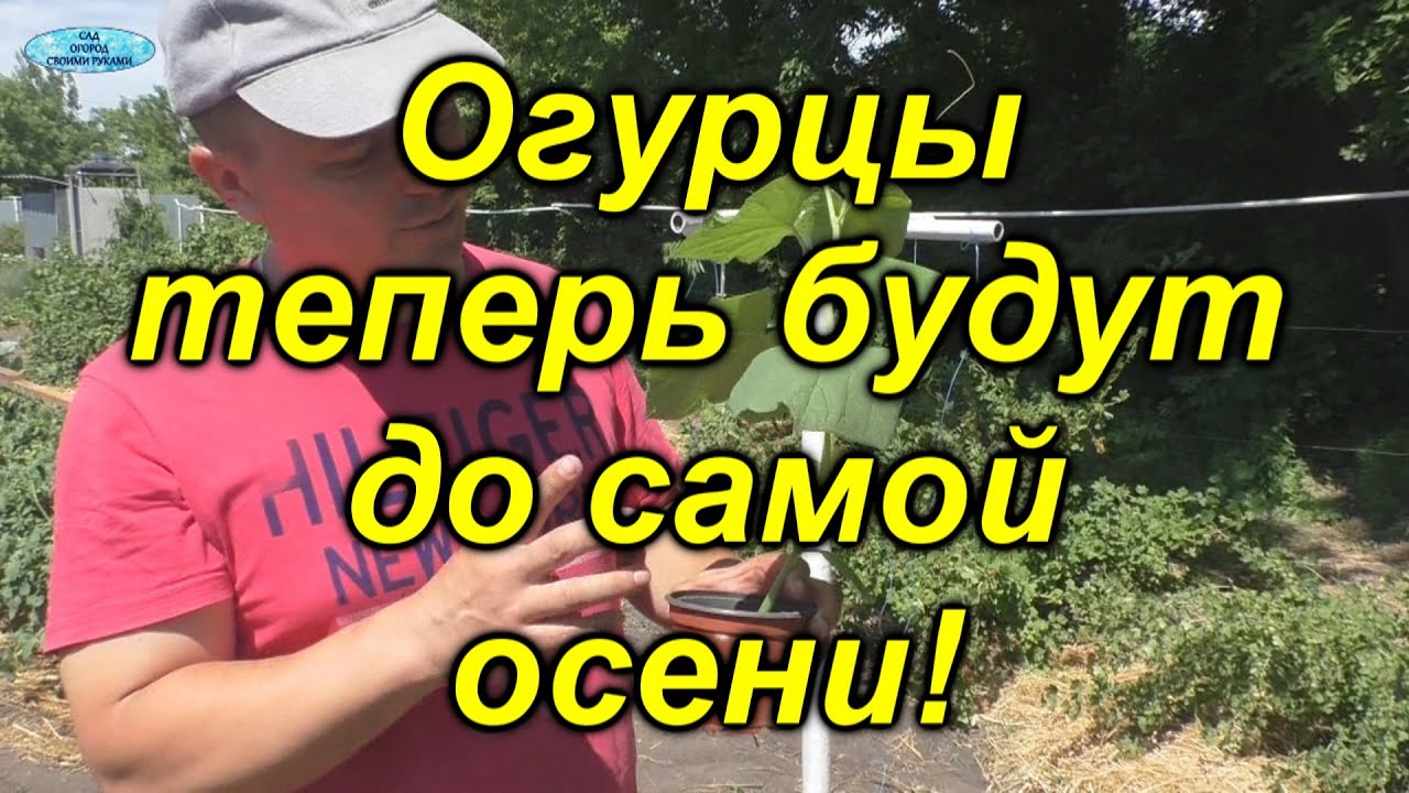 Нажмите, чтобы запустить видео