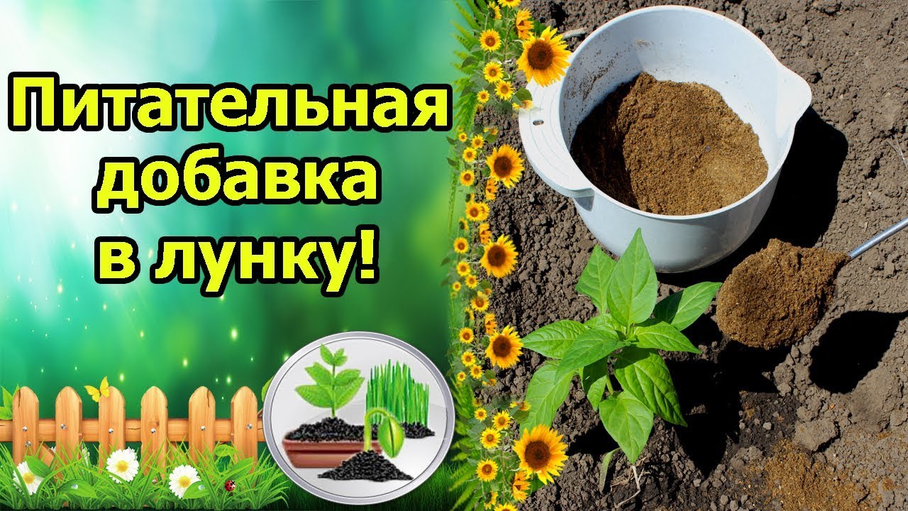 Нажмите, чтобы запустить видео