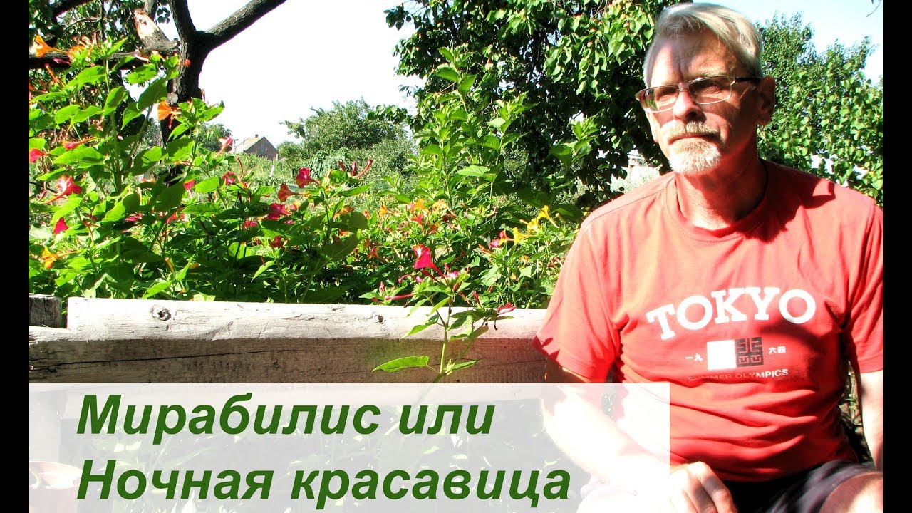 Нажмите, чтобы запустить видео
