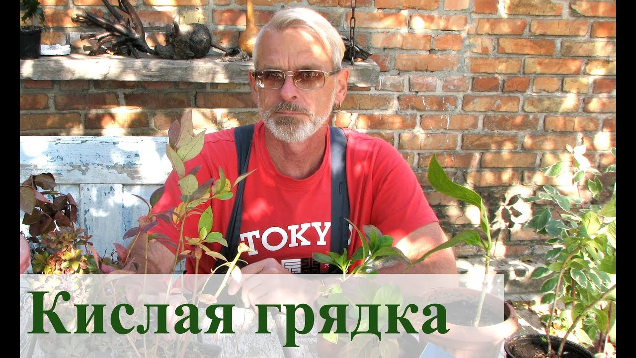 Нажмите, чтобы запустить видео