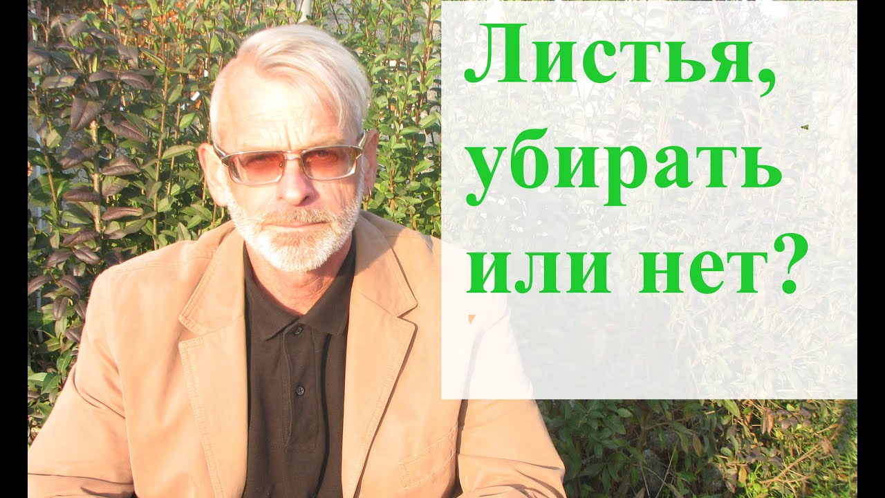 Нажмите, чтобы запустить видео