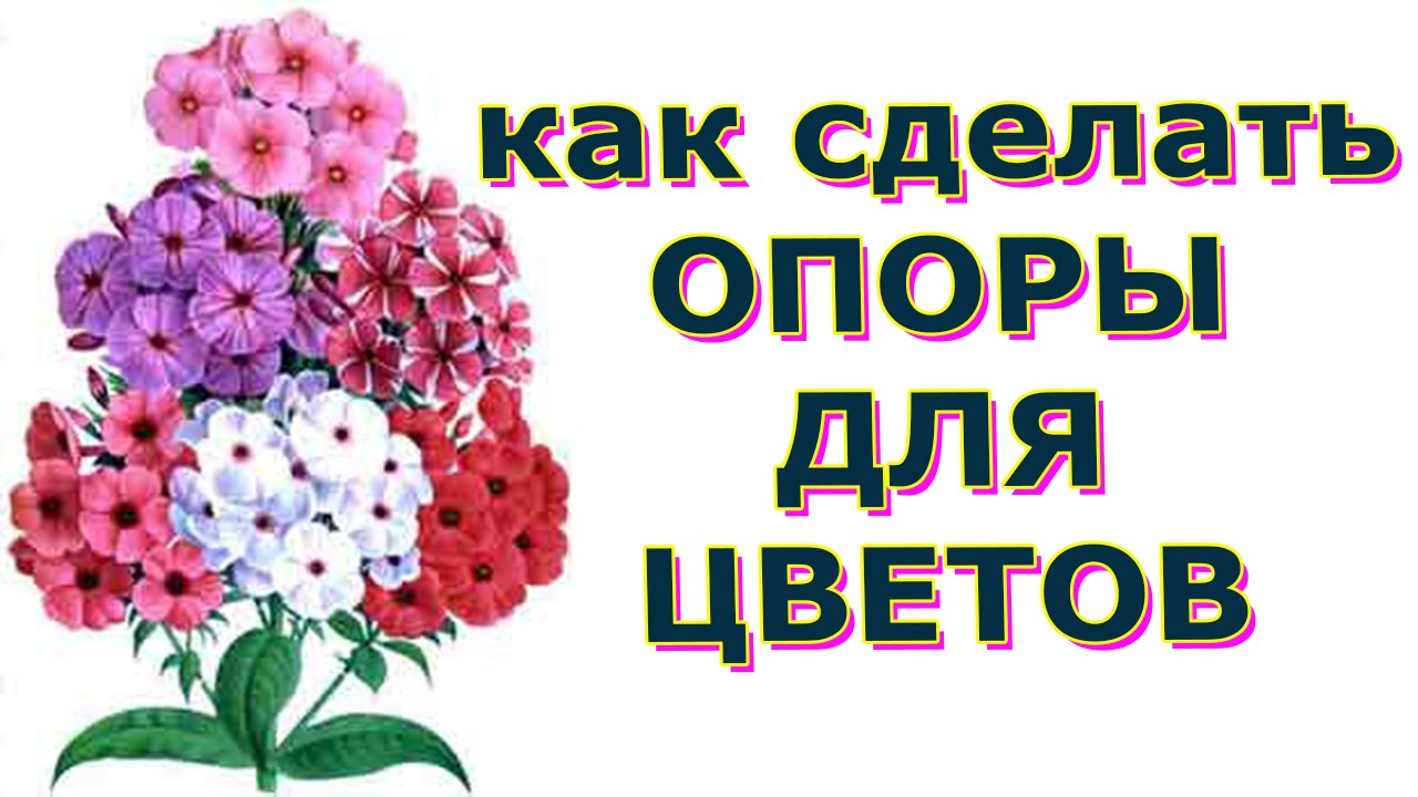 Нажмите, чтобы запустить видео