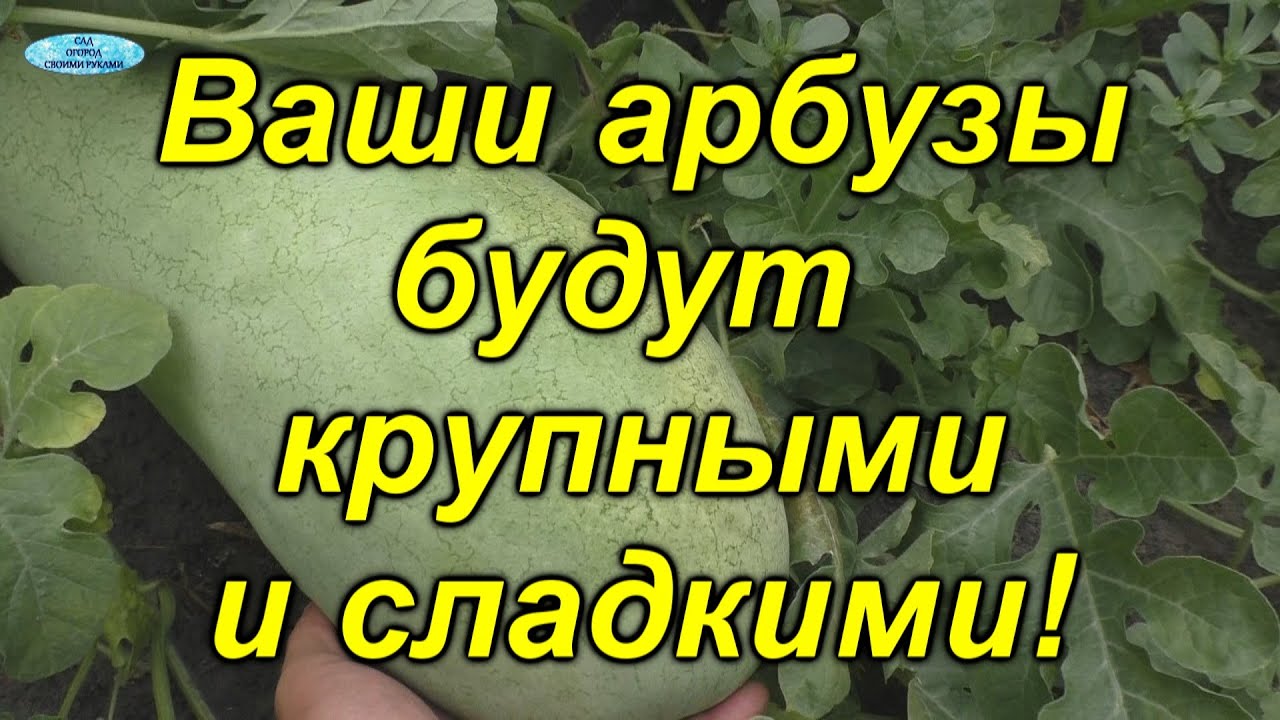 Нажмите, чтобы запустить видео