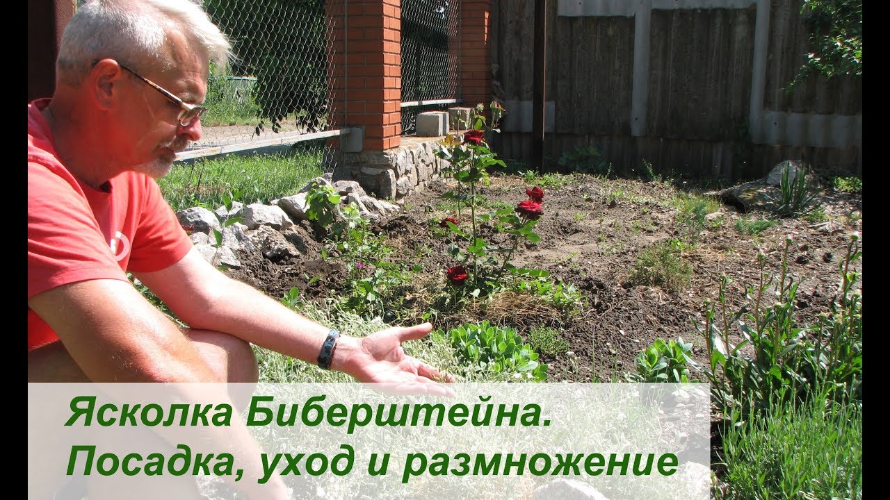 Нажмите, чтобы запустить видео