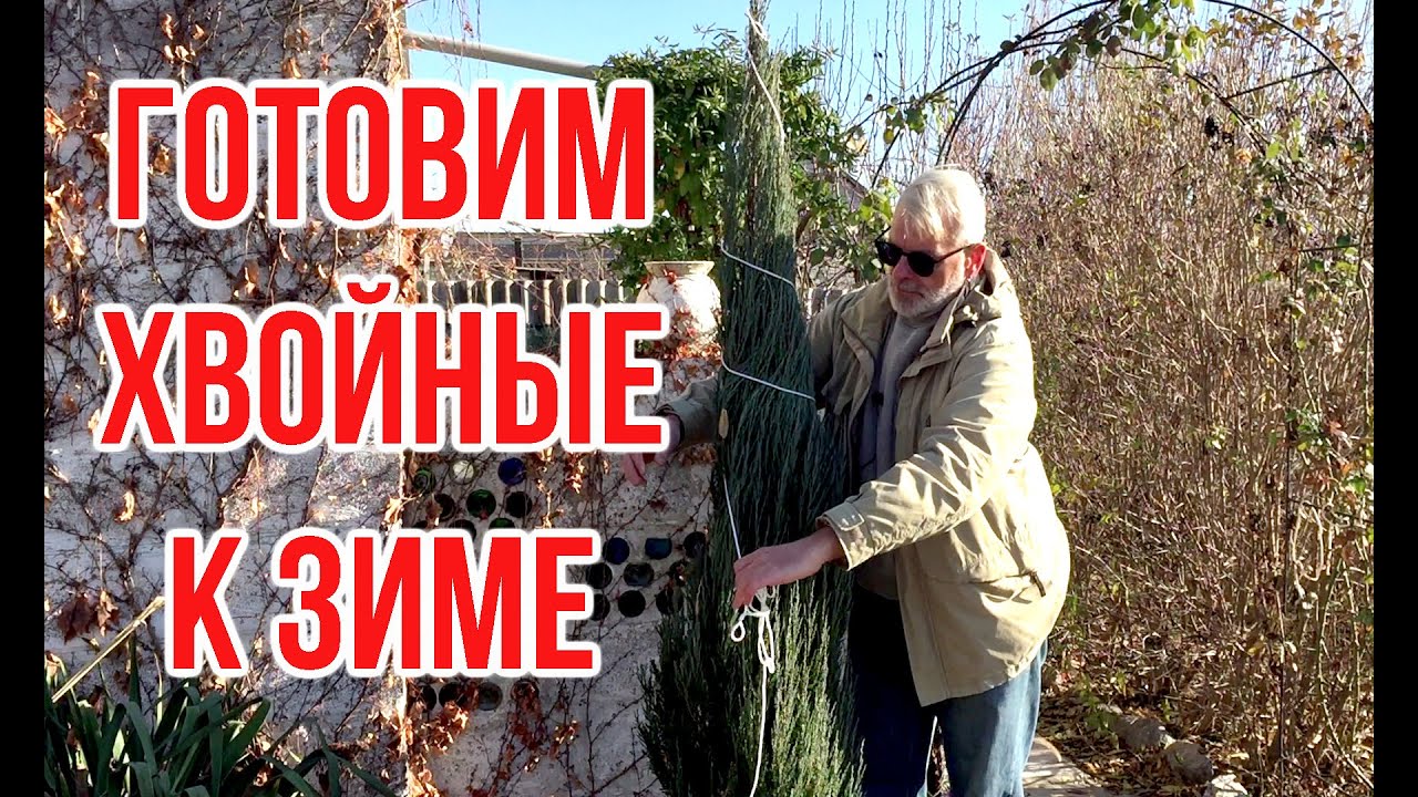 Нажмите, чтобы запустить видео