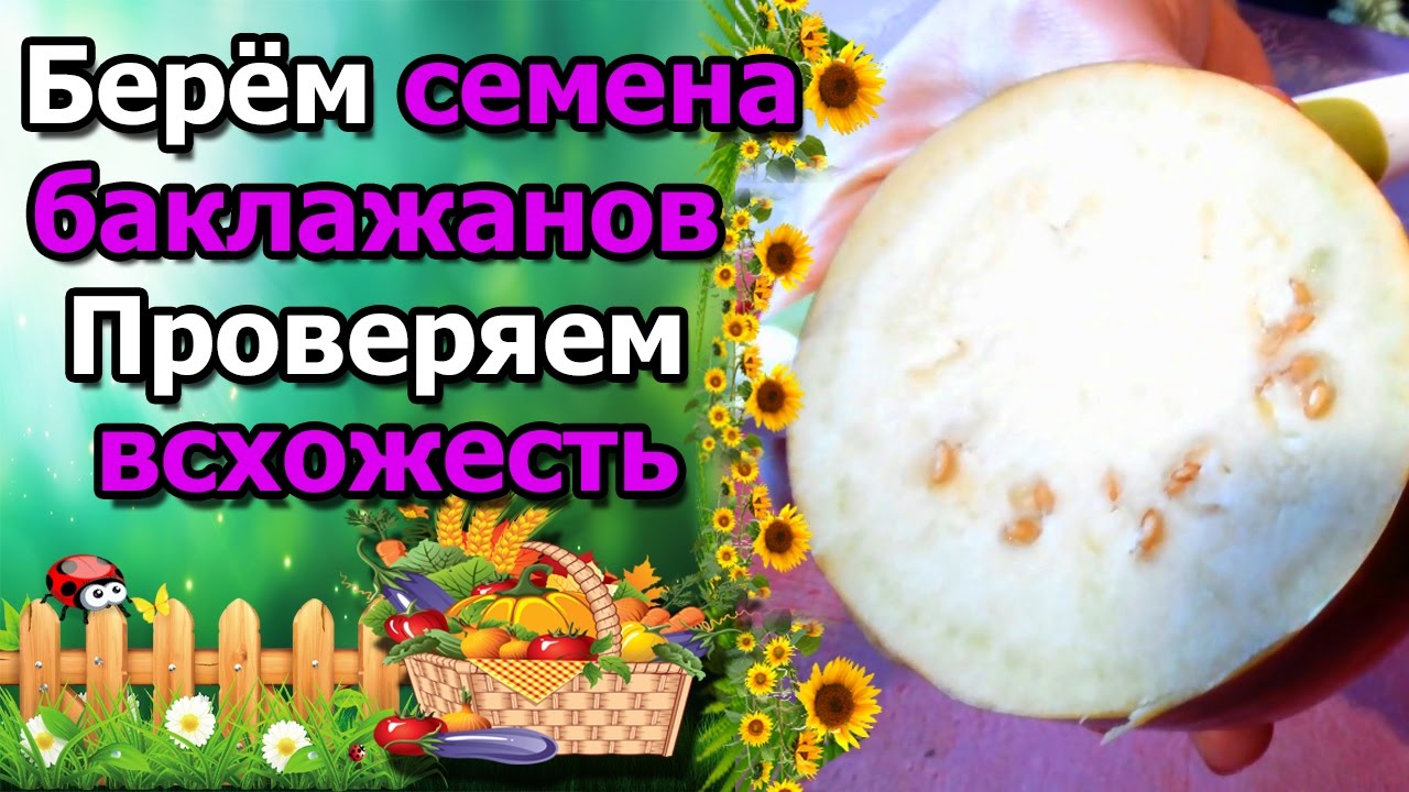 Нажмите, чтобы запустить видео
