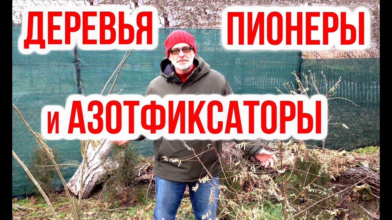 Нажмите, чтобы запустить видео