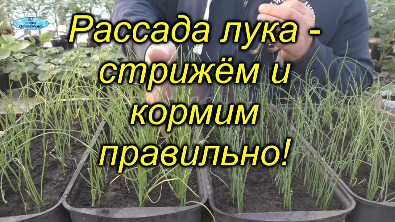 Нажмите, чтобы запустить видео