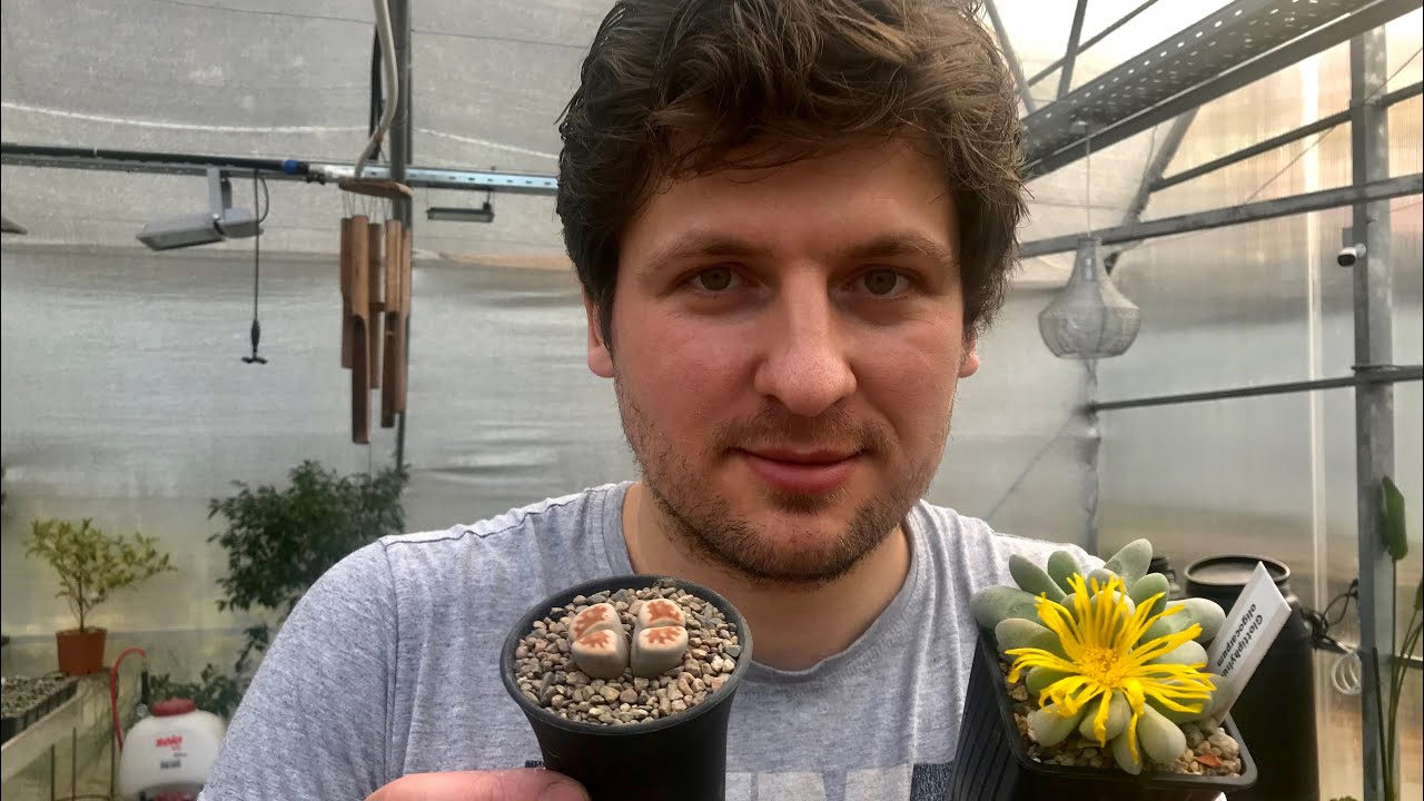 Нажмите, чтобы запустить видео