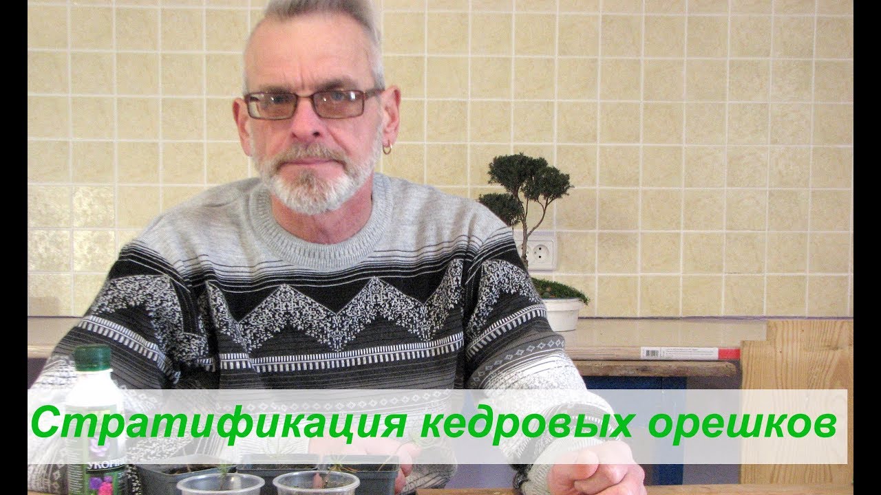 Нажмите, чтобы запустить видео